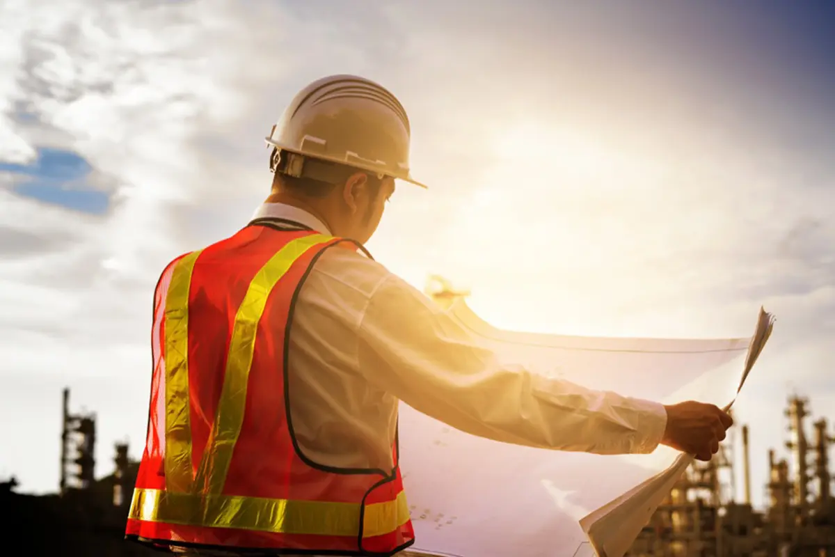 Live Project Experience 2